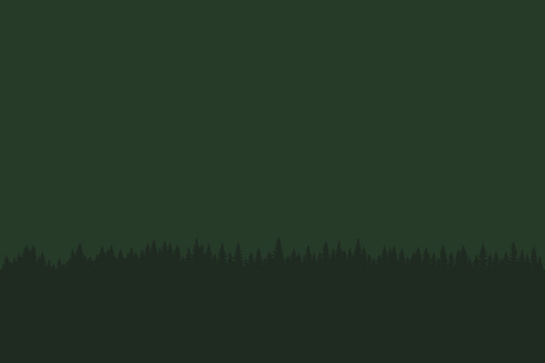 Among the Douglas Firs