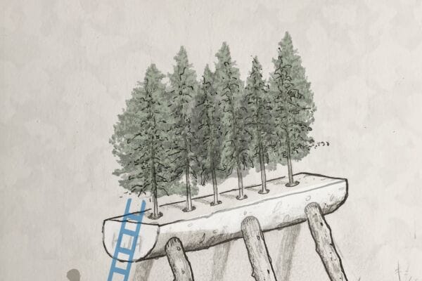 A concept sketch of nurse log art installation piece by David Buckley Borden research nurse concept sketch