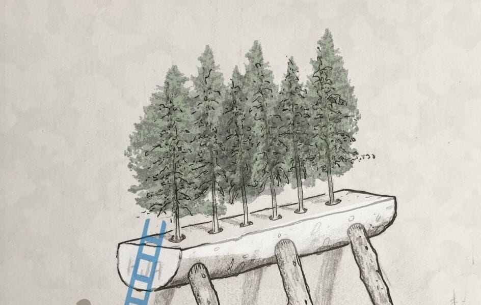 A concept sketch of nurse log art installation piece by David Buckley Borden research nurse concept sketch