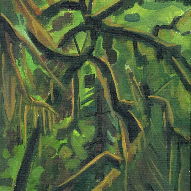 Diedre Hyde painting mossy limbs