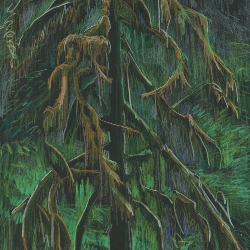 Diedre Hyde painting moss covered limbs