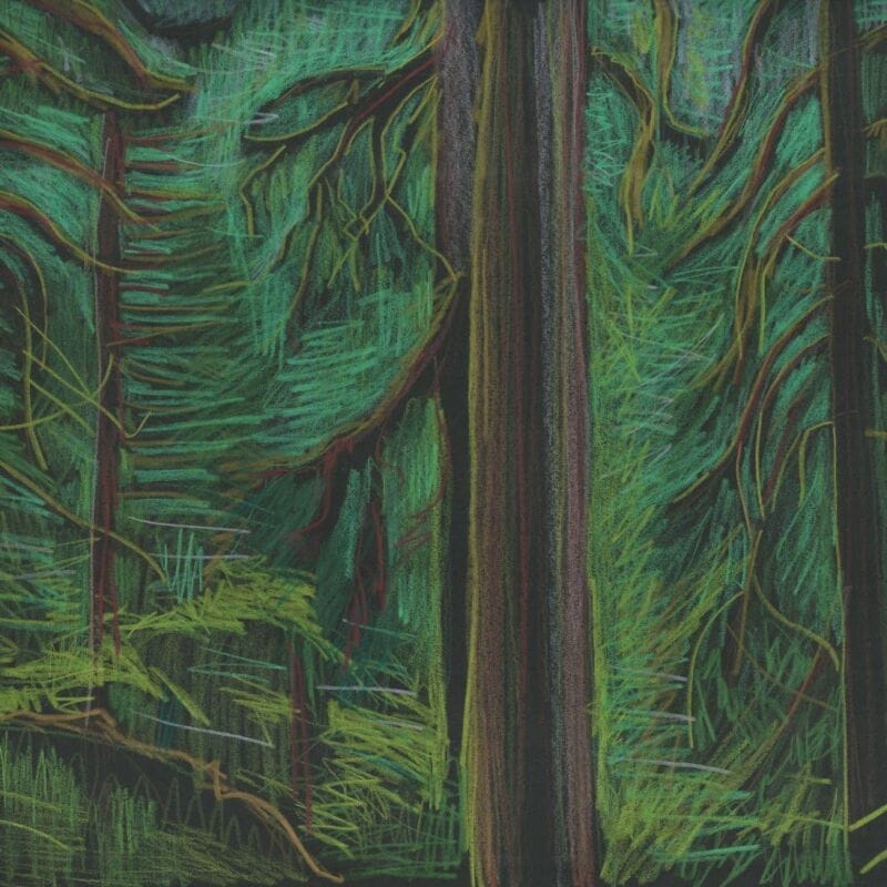 Diedre Hyde painting old growth forest