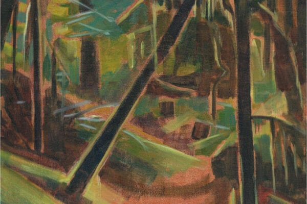 Illustration of Oregon forest. By Deirdre Hyde.