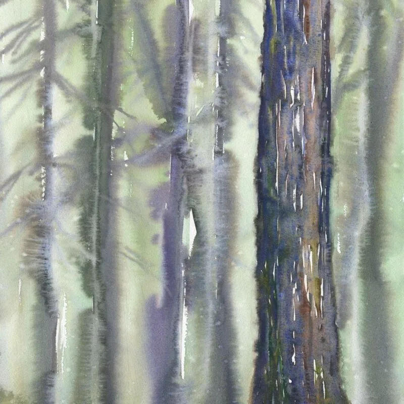 watercolor painting in light and dark green and purple, blue, and brown of a large tree trunk in the foreground and multiple smaller smudgy-colored trunks in the background. tree in the front has been here a while and seen some things.
