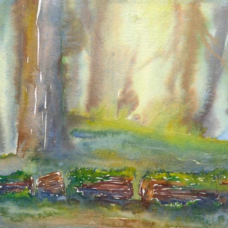 watercolor painting of the log decomposition site in green and brown and red and purple and blue. in the foreground, a mossy log lies in sections on the green forest floor, in the distance are smudgy tree trunks of different shape color and size.