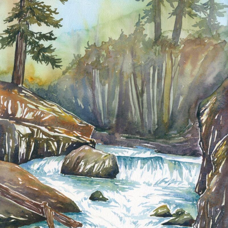 watercolor illustration painting looking up a blue and white creek as it flows over brown gray rocks and between brown hillsides that carry green and brown conifer trees.
