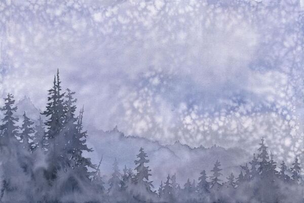 watercolor painting in purples and blues of dark fir trees in the foreground and, lighter, ridgelines behind them and above, a clouded grayblue sky. white spots on the image that blot out the color are where raindrops fell during the painting process.