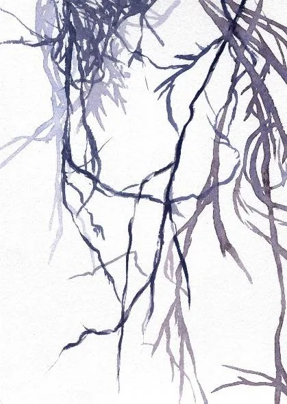 watercolor painting in purples and blues of the branch of a hemlock tree with moss trailing below.