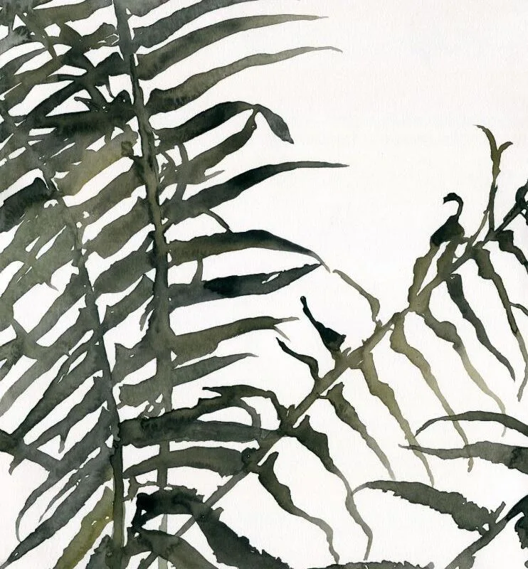 a watercolor painting in greens on white of the shadow of fronds of a sword fern