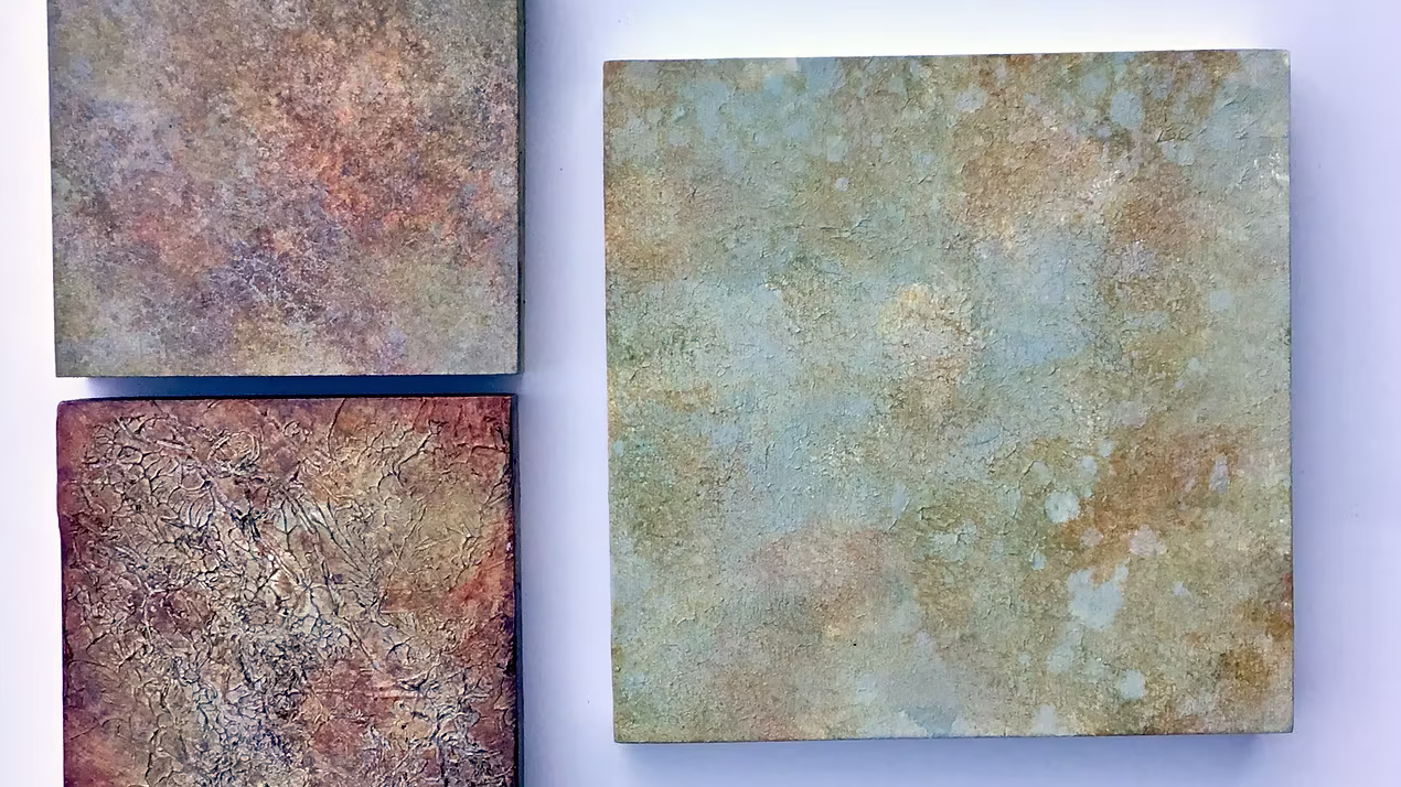 "Lichen Studies" painted by Ann T. Rosenthal