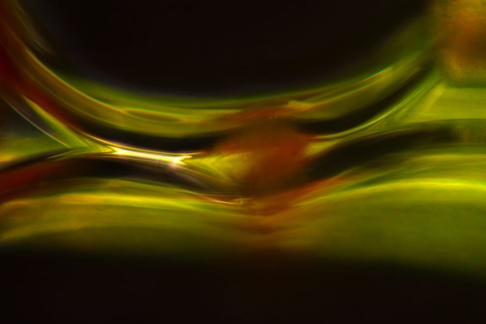 Abstract micrograph of pieces of leaves of the boulder broom moss, Dicranum fulvum, resembling reflections on water, with polarization at 100x.