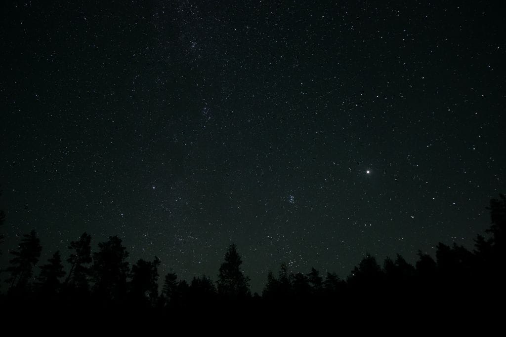 Starry night sky over the forest.