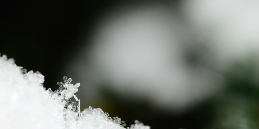 Close-up photo of snow accumulating.