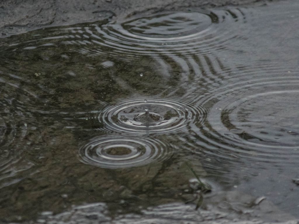 Ripples of rainfall on the water.