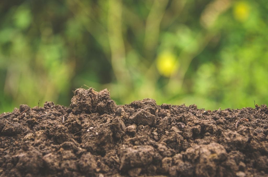 A heap of soil in focus before a lush background.